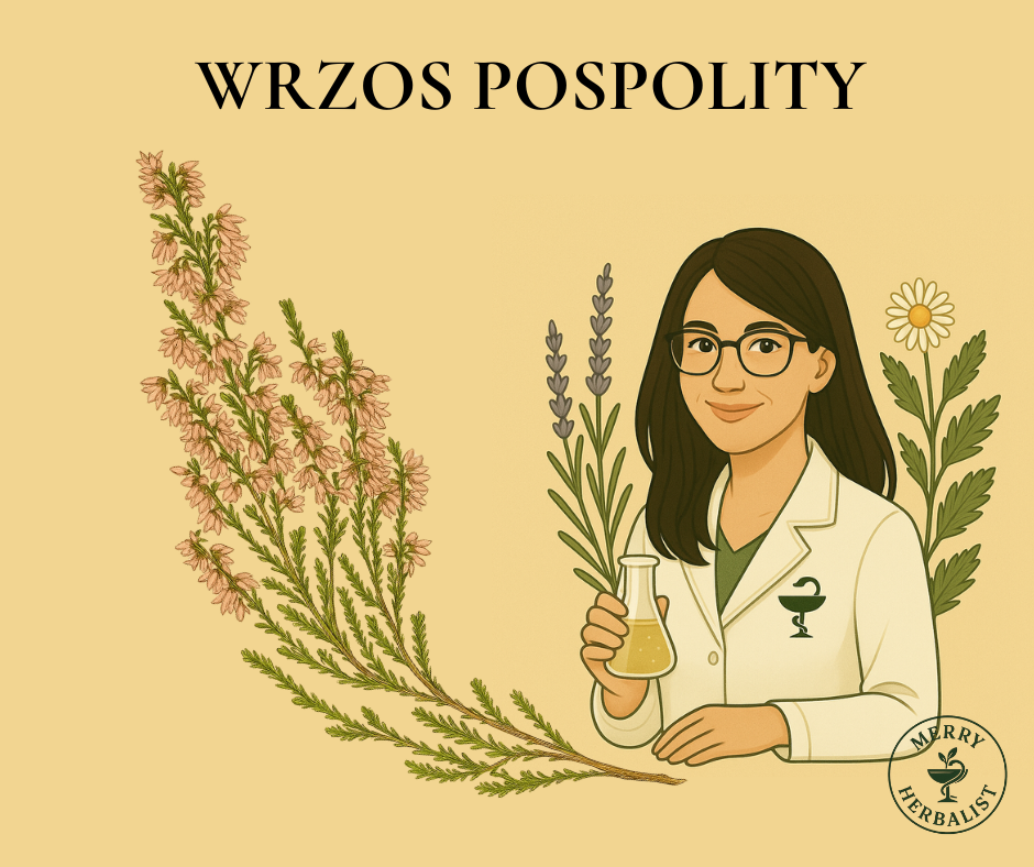 Wrzos pospolity
