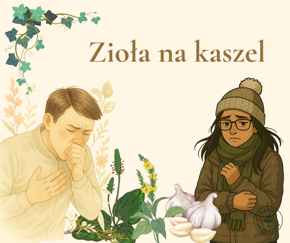 Zioła na kaszel